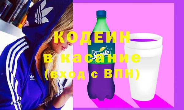 молекула духа Ельня