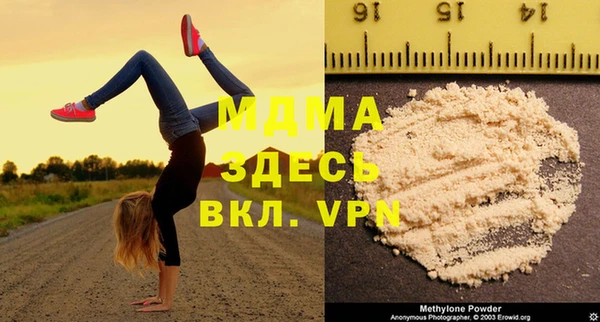 молекула духа Ельня