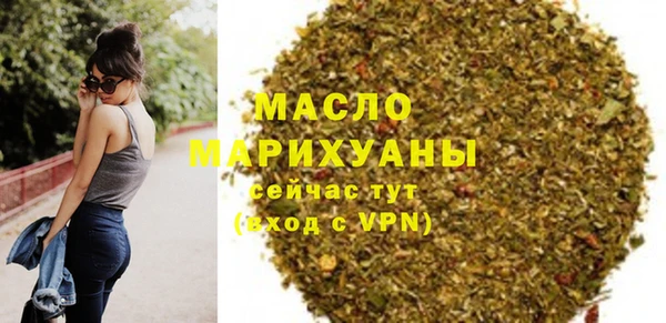 молекула духа Ельня