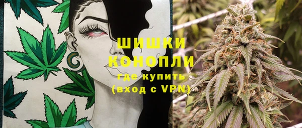 молекула духа Ельня
