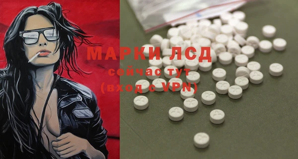 молекула духа Ельня