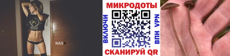 Купить закладки  Ачинск  Галлюциногенные грибы Psilocybine cubensis 